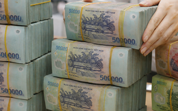 Ngân hàng tư nhân nhiều tiền gửi nhất Việt Nam trả lãi tới 9,3%/năm cho số tiền từ 10 triệu đồng