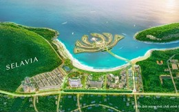 Đang treo hơn 1.700 tỷ tại Vịnh Đầm, TTC Land từ bỏ quyền mua cổ phần Toàn Hải Vân