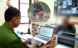 Củng cố hồ sơ xử lý người đàn ông bạo hành chú chó Alaska giữa Quảng trường Lâm Viên do 'bực vì chó không nghe lệnh'