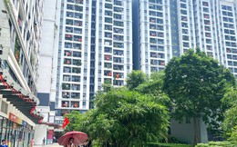 Từ “giá truyền miệng” đến thị trường bất động sản bằng dữ liệu