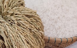 Giá xuất khẩu gạo tăng, nhưng đối thủ của Việt Nam, Thái Lan vẫn chưa thể vui mừng vì một lý do