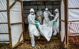 Số người nhiễm Ebola có thể lên tới 1,4 triệu
