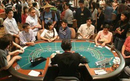 [Đề xuất] Tăng thuế tiêu thụ đặc biệt đối với kinh doanh casino lên 35%