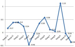 CPI tháng 11 tại Tp.HCM giảm mạnh nhờ giá xăng dầu