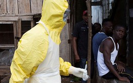 Công bố những đoạn video tư liệu hiếm về dịch Ebola năm 1976