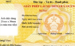 Việt Nam sẽ cấp giấy phép lái xe quốc tế