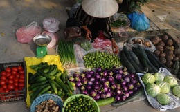 Kinh tế Việt Nam quý III khởi sắc nhờ xuất khẩu