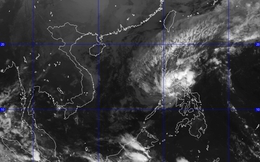 Lo ngại ảnh hưởng của bão Hagupit, Vietnam Airlines hoãn bay