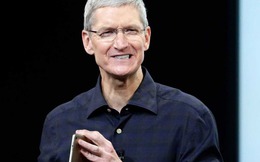 Chuyên gia về Apple: Doanh số iPad sẽ tụt dốc thê thảm vào quý 1/2015