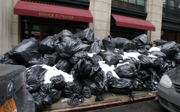 Công nhân hót rác ở New York thu nhập hơn 80.000 USD/năm