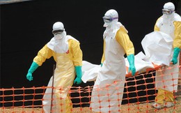 7 'chiêu' kiếm lời từ dịch bệnh Ebola