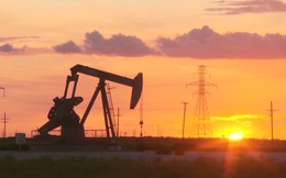Mỹ: 'Tội đồ' gây ra bão giá dầu giảm