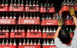 Biểu đồ này cho thấy 20 năm ở Việt Nam, Coca Cola làm ăn tốt như thế nào dù liên tục báo lỗ