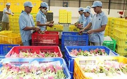Trung Quốc muốn mua nông sản Việt Nam qua sàn