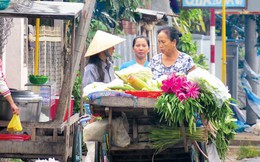 "Chợ đẩy" dọc sông Tiền