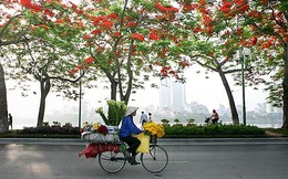 Việt Nam được Barror’s xếp hạng vào top đầu của thị trường Châu Lục