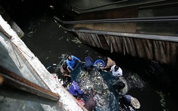 Hình ảnh đánh bắt cá tại trung tâm thương mại giữa thủ đô Bangkok Thái Lan