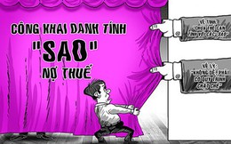 ‘Sao’ trốn thuế, công khai được không?