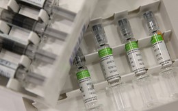 Tại sao con người vẫn không thể tạo ra vắc-xin cúm đặc dụng?