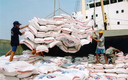 Xuất khẩu gạo bất cập từ cách “quản”