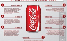 Điều gì xảy ra với cơ thể sau khi bạn uống hết một lon Coca-Cola?