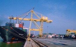 Lý do Cảng Đà Nẵng từ chối vốn ODA