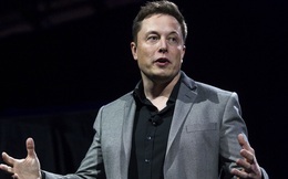 Elon Musk: 1 giờ bức xạ mặt trời đủ cung cấp điện năng cả năm cho Trái đất