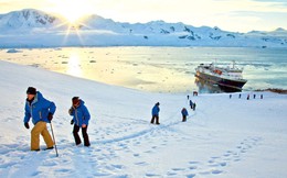 Bài học cuộc sống từ chuyến thám hiểm Nam Cực của Ernest Shackleton