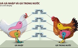 Cách nào để gà Việt không cần rẻ vẫn cạnh tranh được với gà Mỹ?
