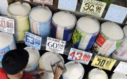 Nhật nhập khẩu ít gạo miễn thuế nhất trong vòng 20 năm