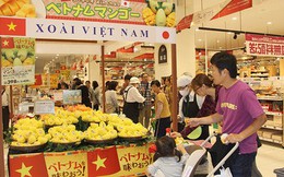 Đại sứ Việt Nam quảng bá xoài cát chu ở Nhật