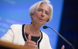 IMF hạ dự báo tăng trưởng kinh tế thế giới