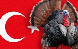 Thổ Nhĩ Kỳ, Gà tây và câu chuyện xung quanh cái tên Turkey “nhạy cảm”