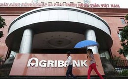 Các “sếp” Ngân hàng Agribank vướng lao lý trong vụ án gần 2.800 tỷ