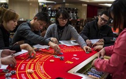 Macau hết thời, kinh doanh sòng bạc có chạy về Việt Nam?