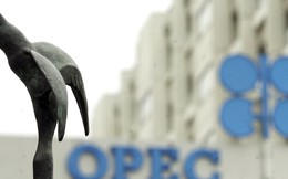 OPEC: Chờ đến ngày thái lai