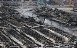Vụ nổ Thiên Tân khiến Hyundai Motor thiệt hại 136 triệu USD