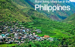 Từ "More fun in the Phillippines", làm sao để "Vui hơn ở Việt Nam"?