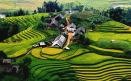 “Việt Nam là mô hình kỳ lạ nhất thế giới: Nước… không chịu phát triển!”
