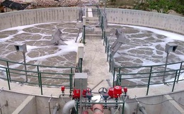 World Bank 'cấm cửa' một DN xử lý nước thải Việt Nam vì gian lận tài chính