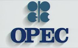 OPEC kêu gọi các nước khai thác dầu đàm phán bình ổn giá dầu