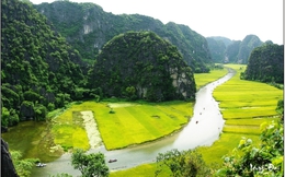 Internet đang thay đổi cách người Việt du lịch như thế nào?