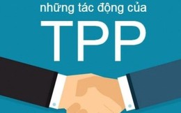 Hà Nội cần chuẩn bị để gia nhập TPP?