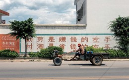 Trung Quốc: Lợi nhuận đến từ những nông dân chân đất, da rám nắng