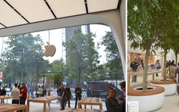 Cửa hàng Apple sẽ như thế nào dưới bàn tay của “phù thủy” Jony Ive?