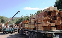 Nhiều doanh nghiệp gỗ “chết đứng” vì phụ thuộc Trung Quốc