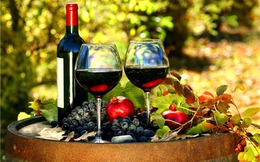 Bất chấp suy thoái kinh tế, rượu vang Italy vẫn bội thu