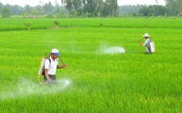 WB: Vì sản lượng, nông dân Việt đã áp dụng quá mức phương thức canh tác không bền vững