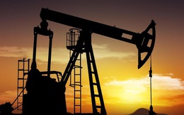 “Giá dầu khó vượt được mốc 55 USD/thùng”