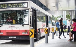 Singapore sắp thử nghiệm xe bus tự lái